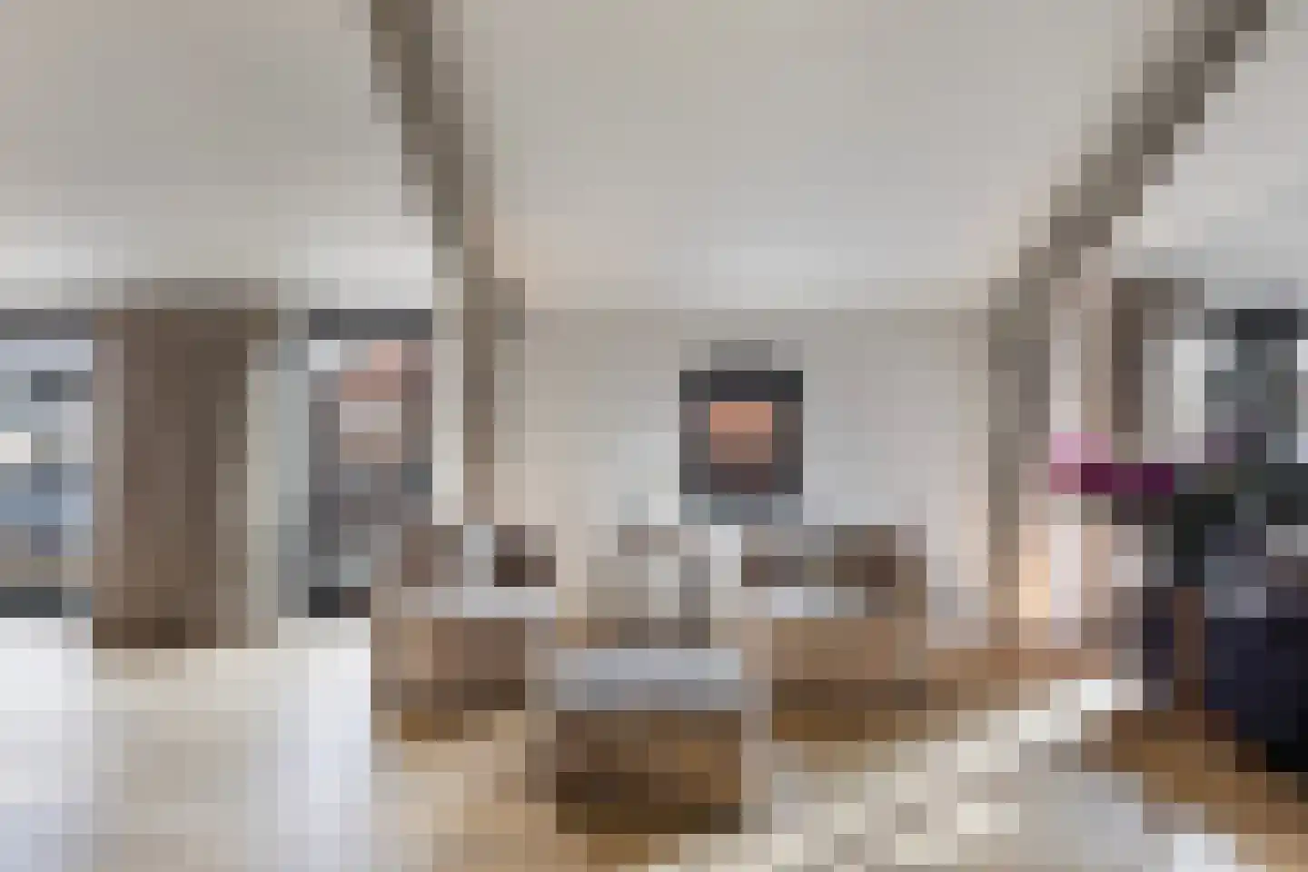 Smidsweg 1 B Westmaas thumbnail 18