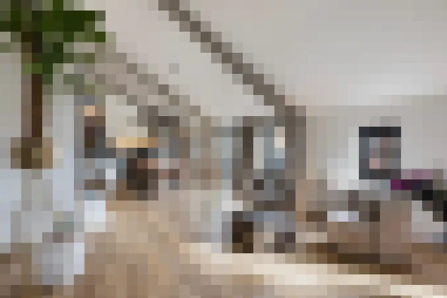Smidsweg 1 B Westmaas thumbnail 19