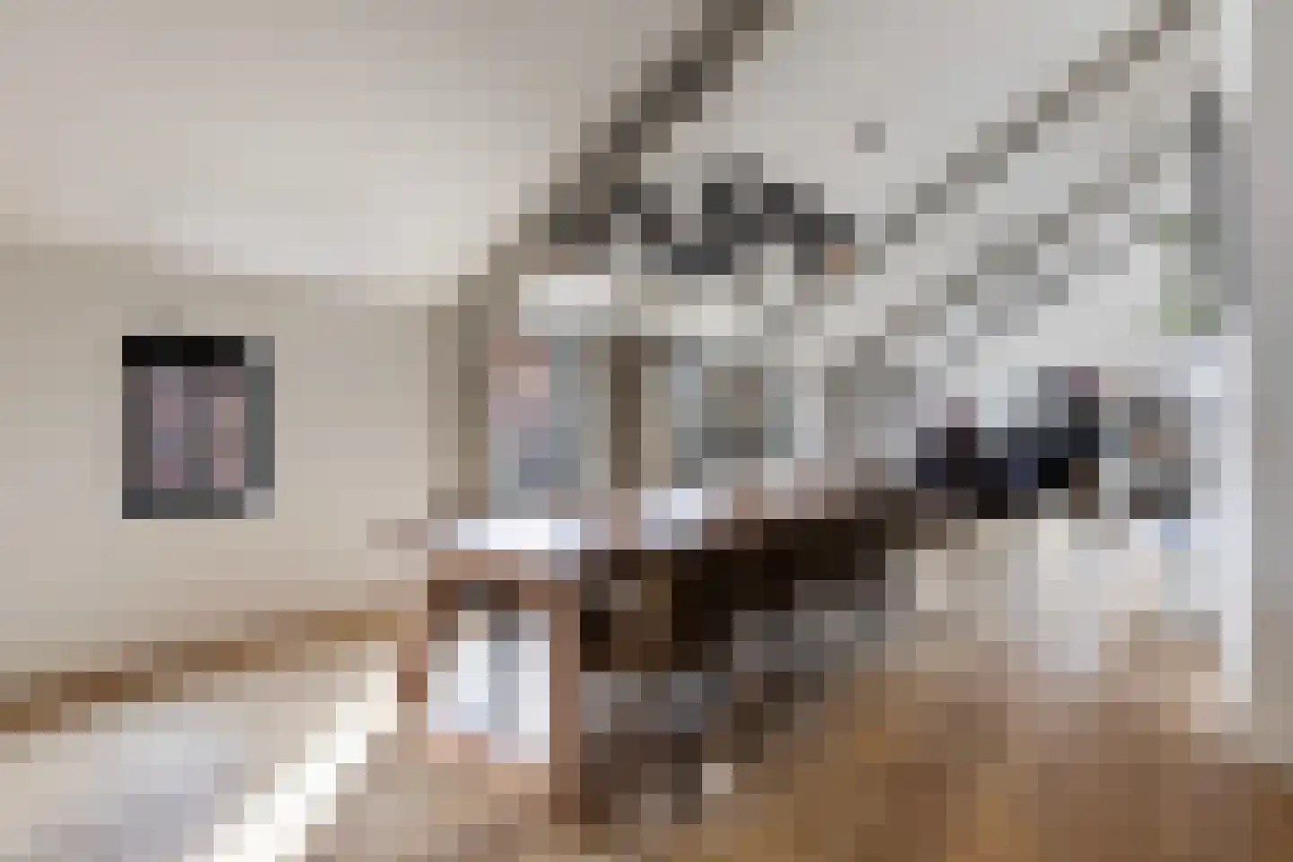 Smidsweg 1 B Westmaas thumbnail 21