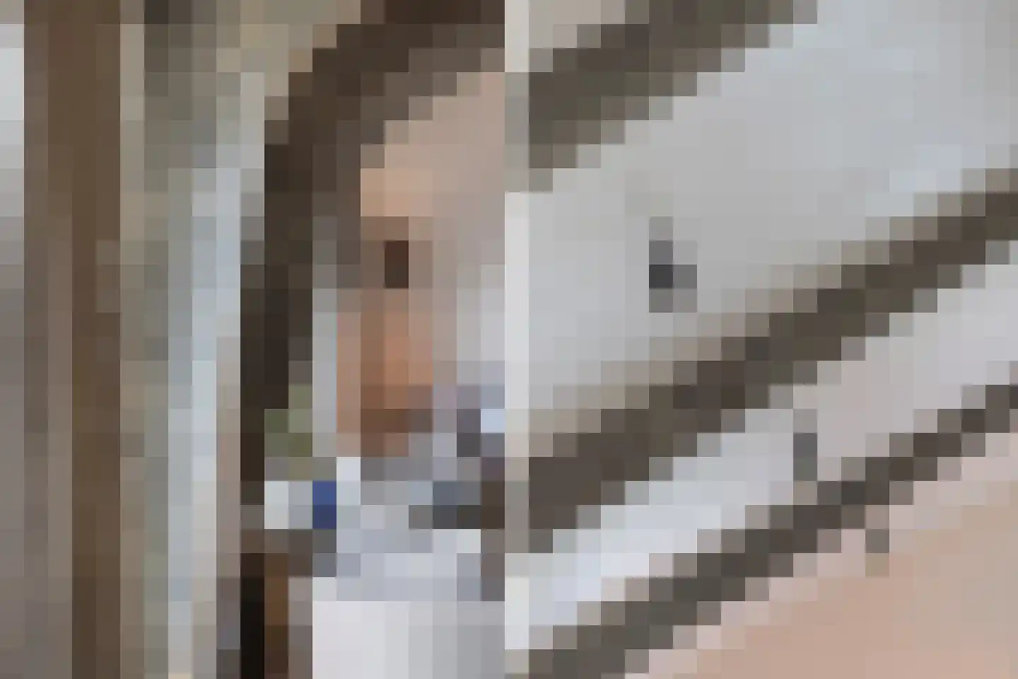 Smidsweg 1 B Westmaas thumbnail 22