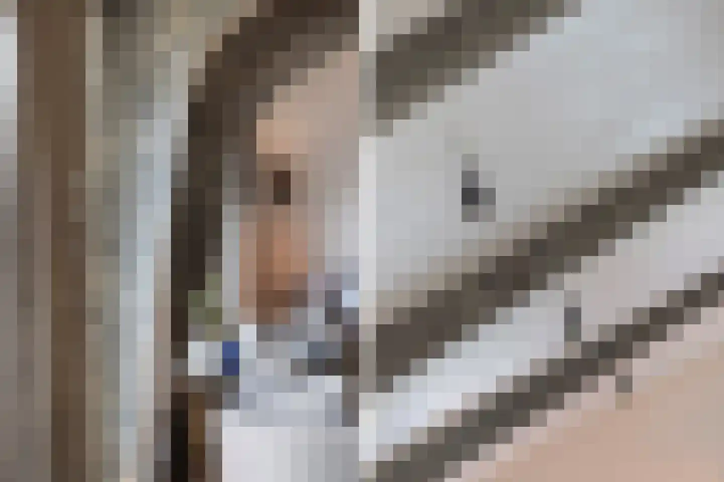Smidsweg 1 B Westmaas thumbnail 25