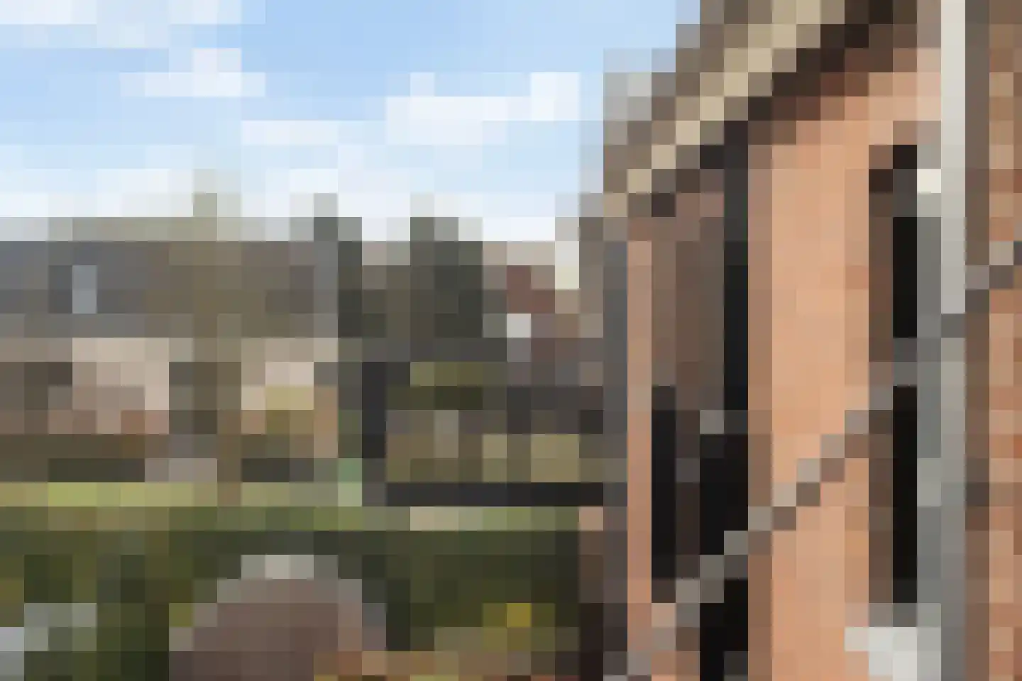 Smidsweg 1 B Westmaas thumbnail 32