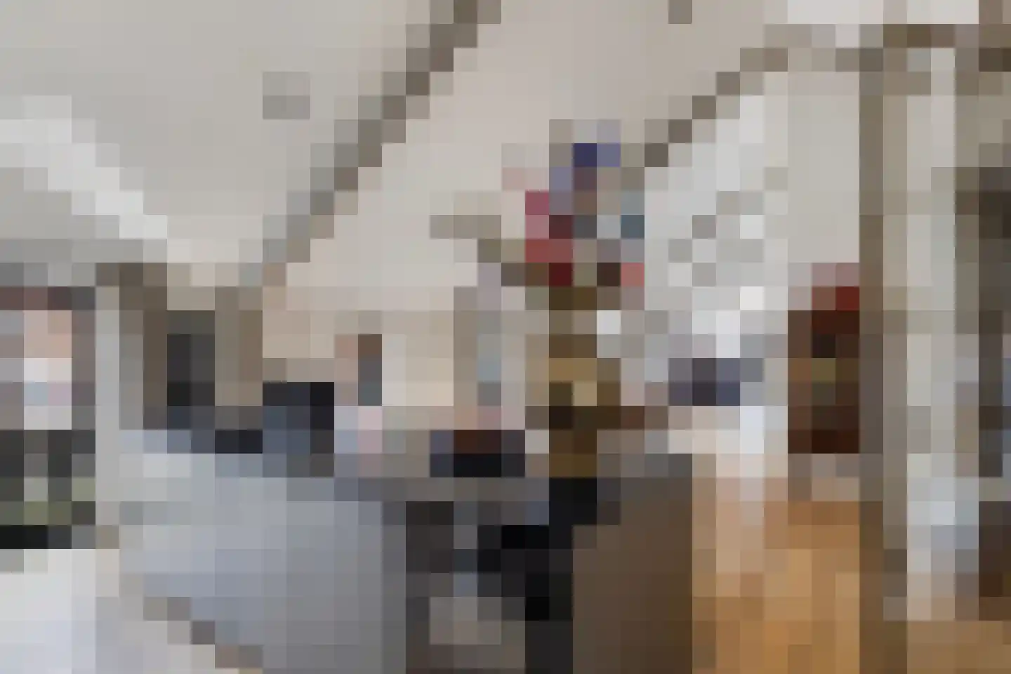 Smidsweg 1 B Westmaas thumbnail 34
