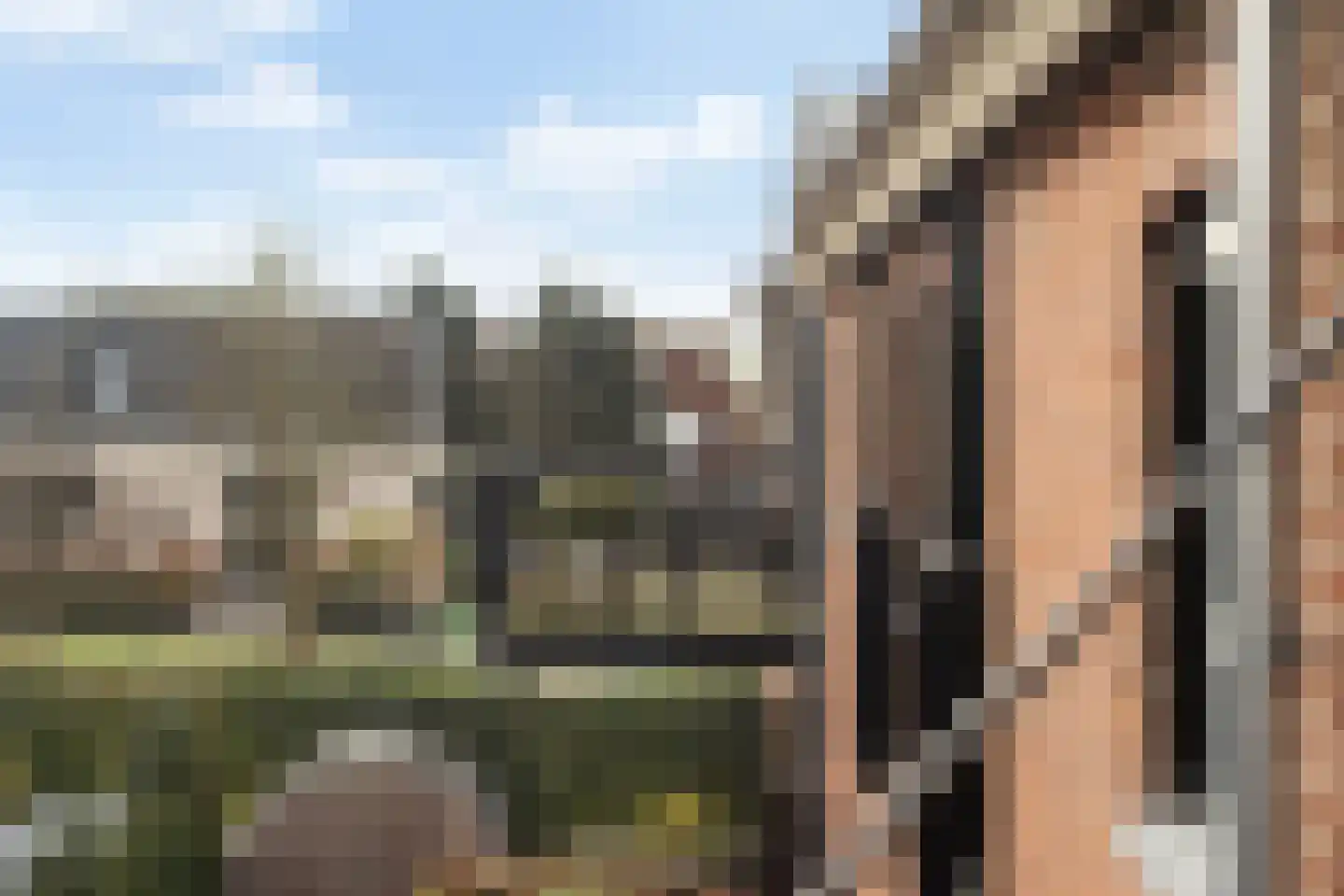 Smidsweg 1 B Westmaas thumbnail 36