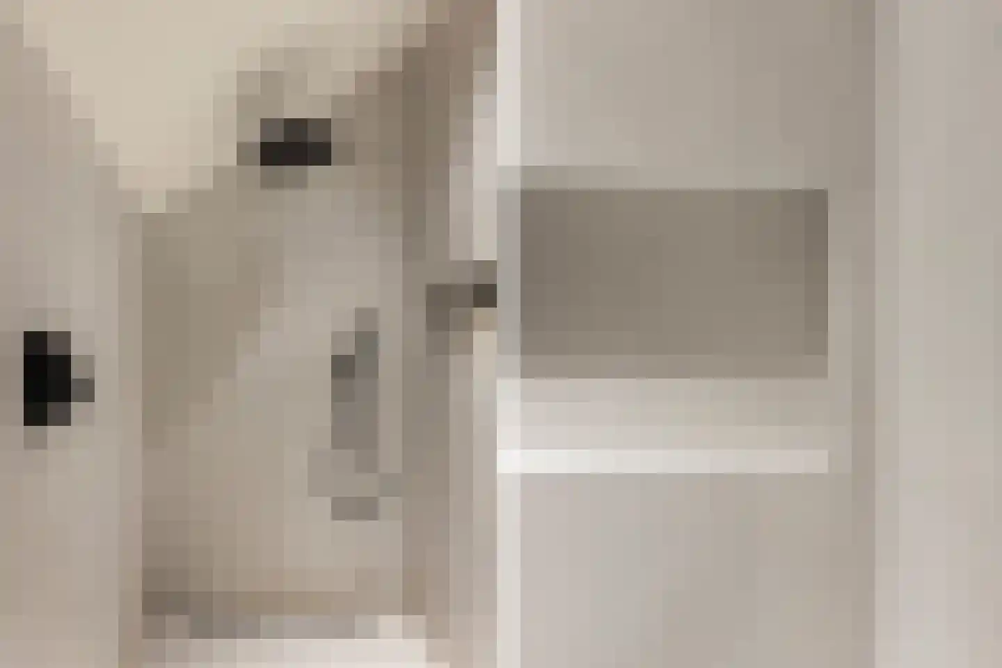 Smidsweg 1 B Westmaas thumbnail 37