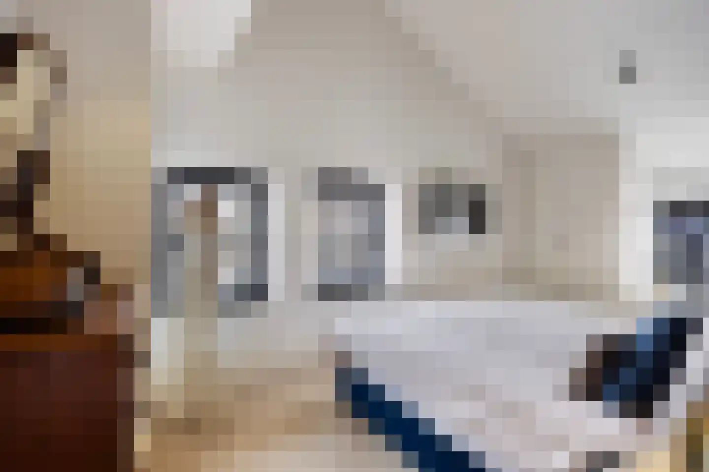 Smidsweg 1 B Westmaas thumbnail 39
