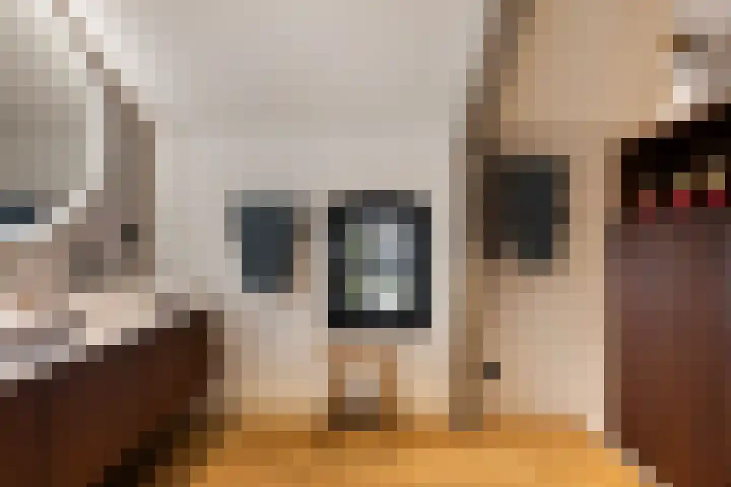 Smidsweg 1 B Westmaas thumbnail 39