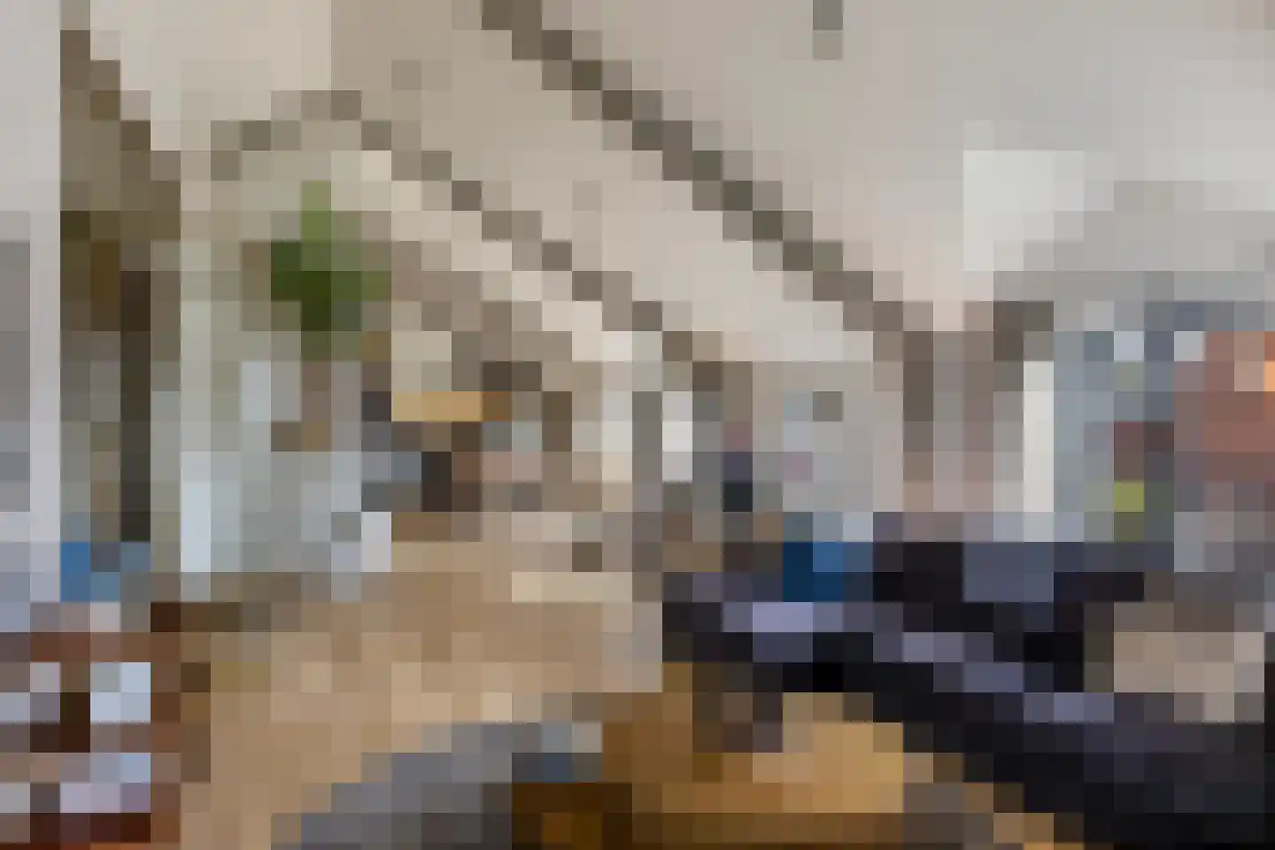 Smidsweg 1 B Westmaas thumbnail 4