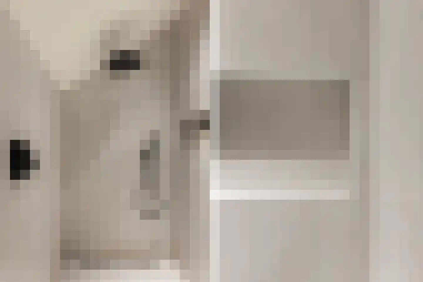 Smidsweg 1 B Westmaas thumbnail 41