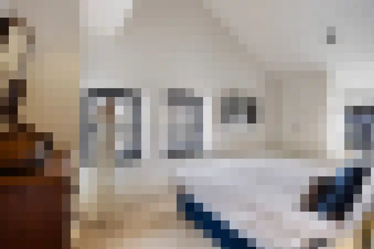 Smidsweg 1 B Westmaas thumbnail 43