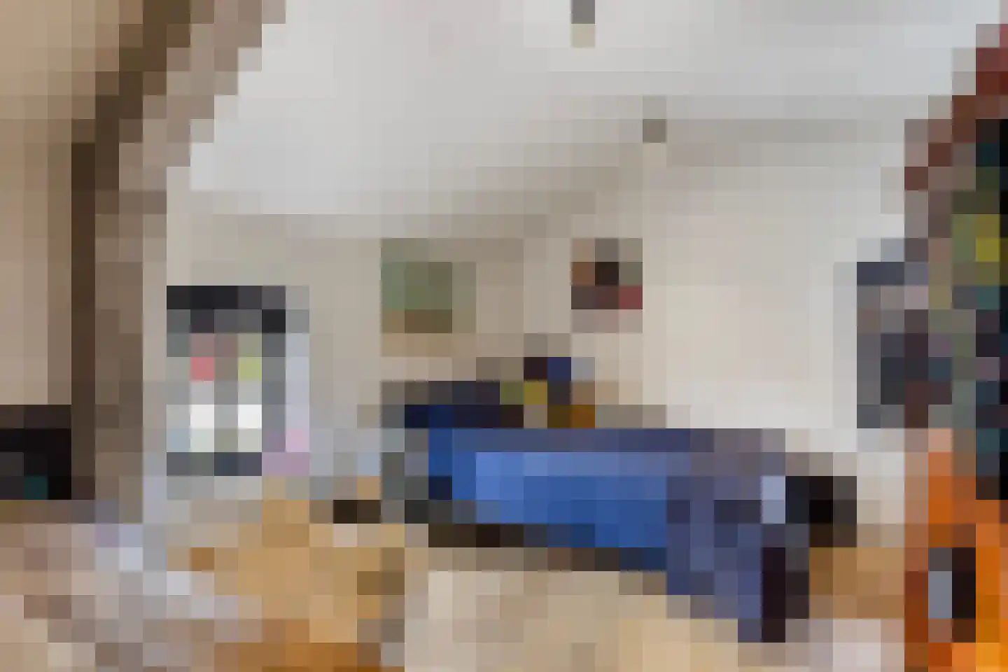 Smidsweg 1 B Westmaas thumbnail 49