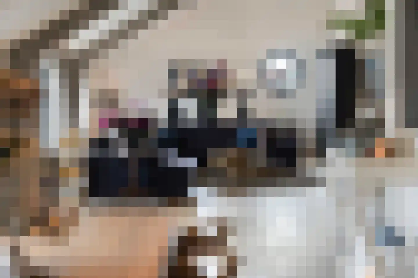 Smidsweg 1 B Westmaas thumbnail 5