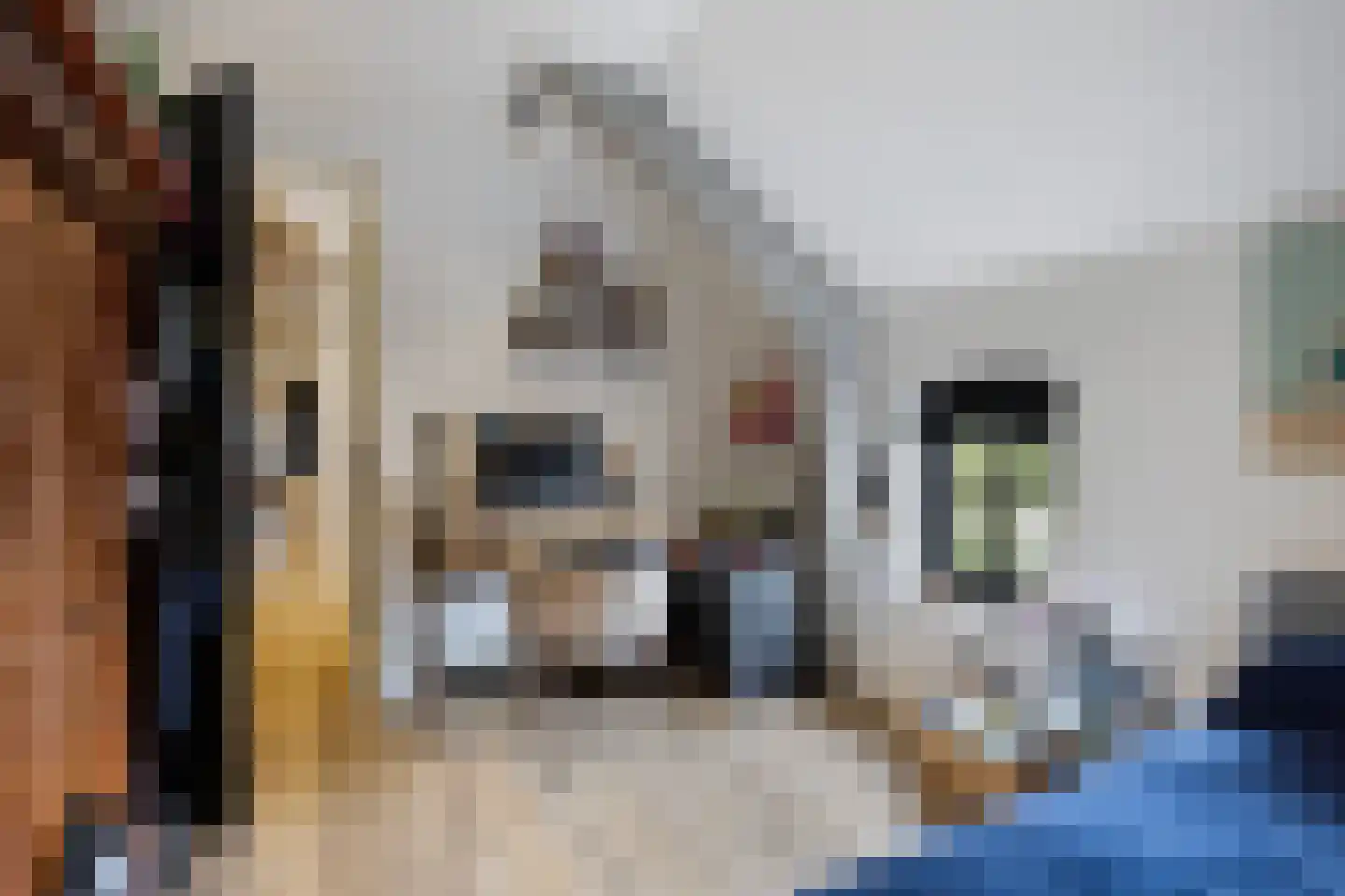 Smidsweg 1 B Westmaas thumbnail 50