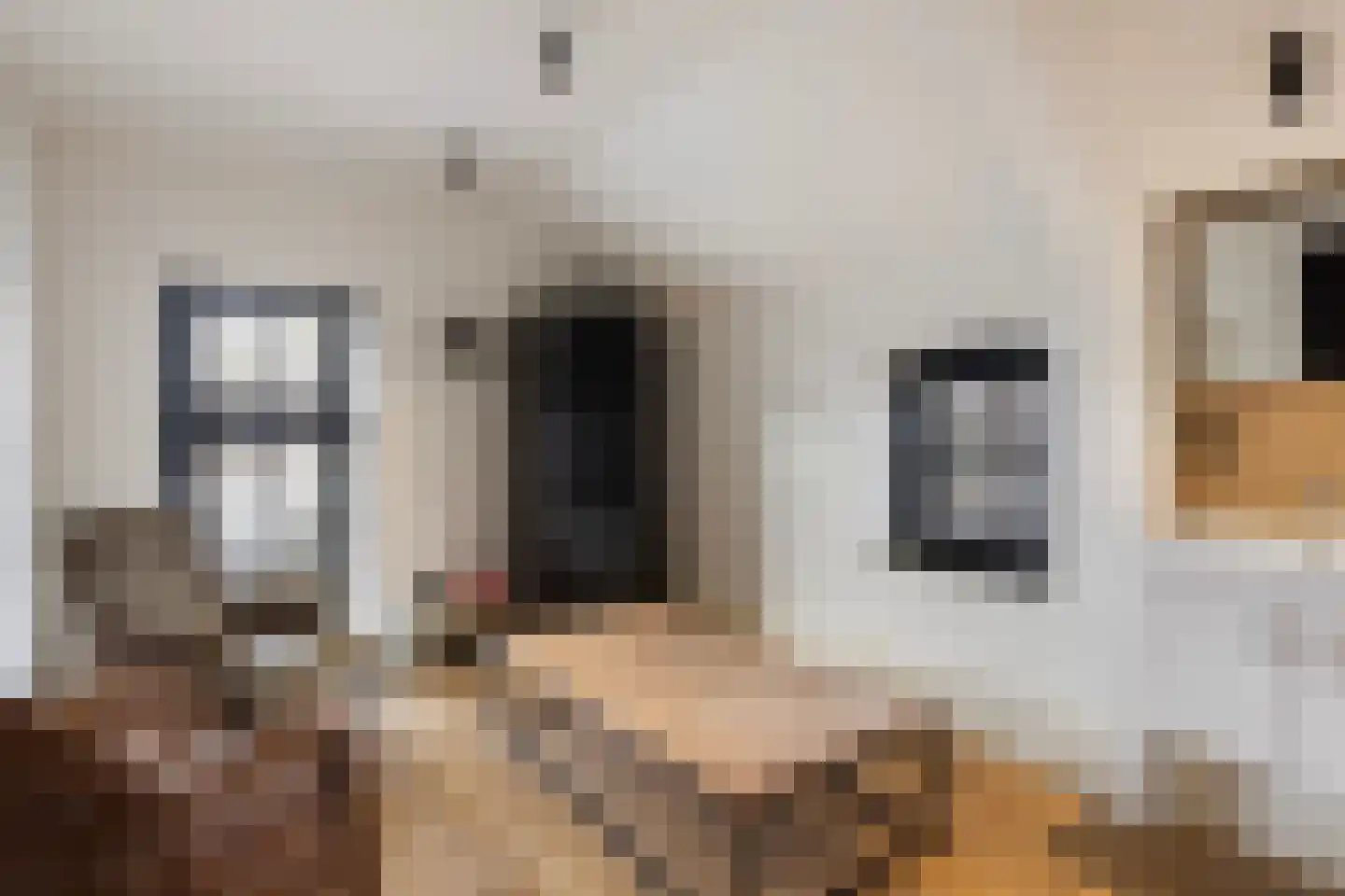 Smidsweg 1 B Westmaas thumbnail 51