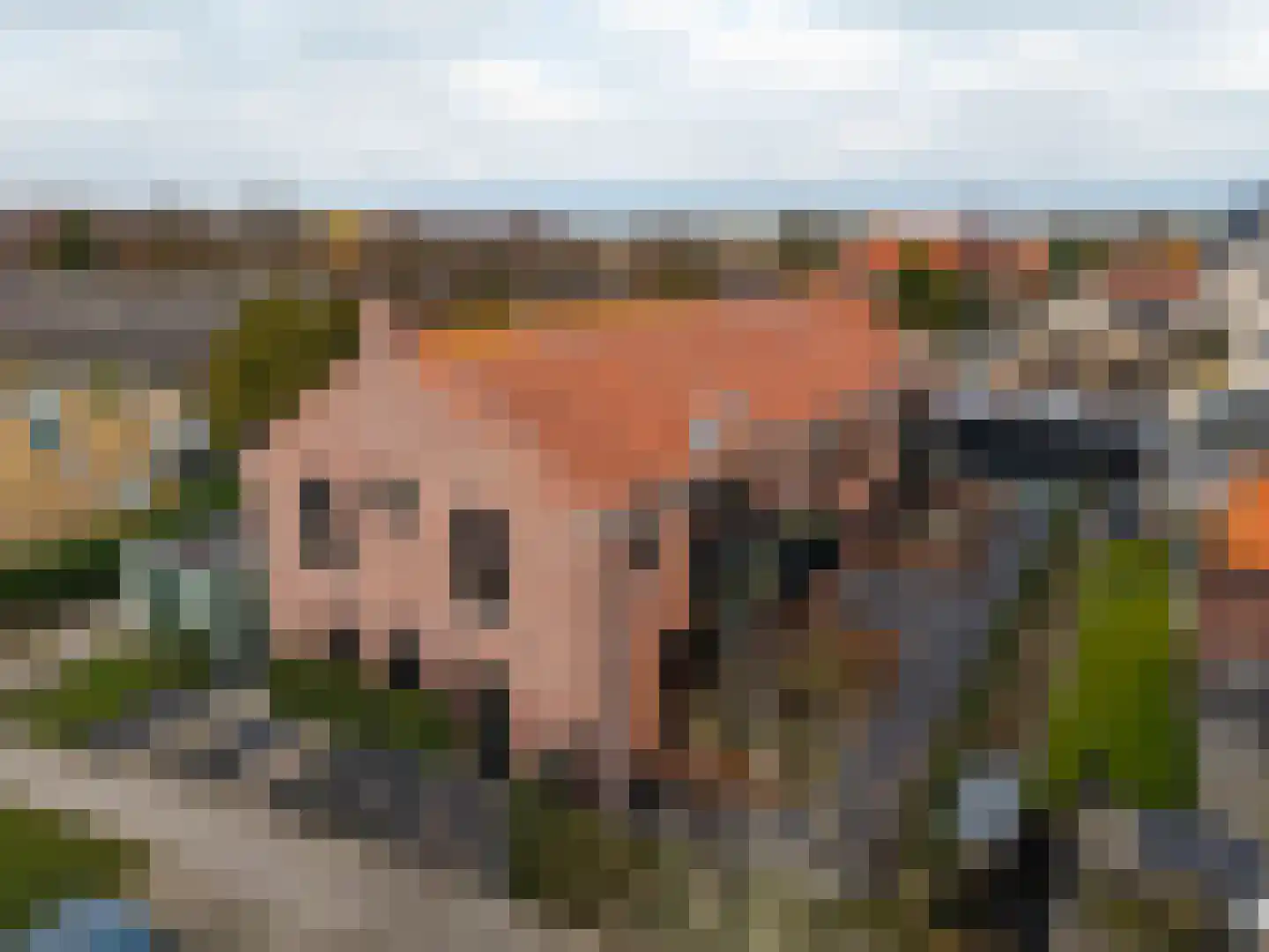 Smidsweg 1 B Westmaas thumbnail 58