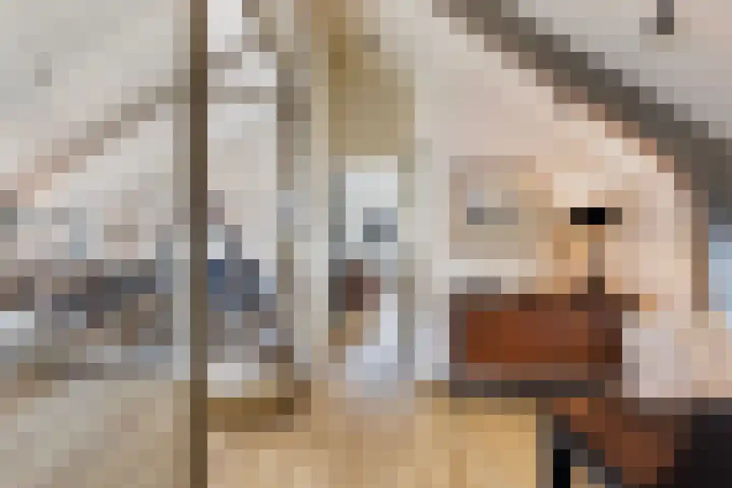 Smidsweg 1 B Westmaas thumbnail 6