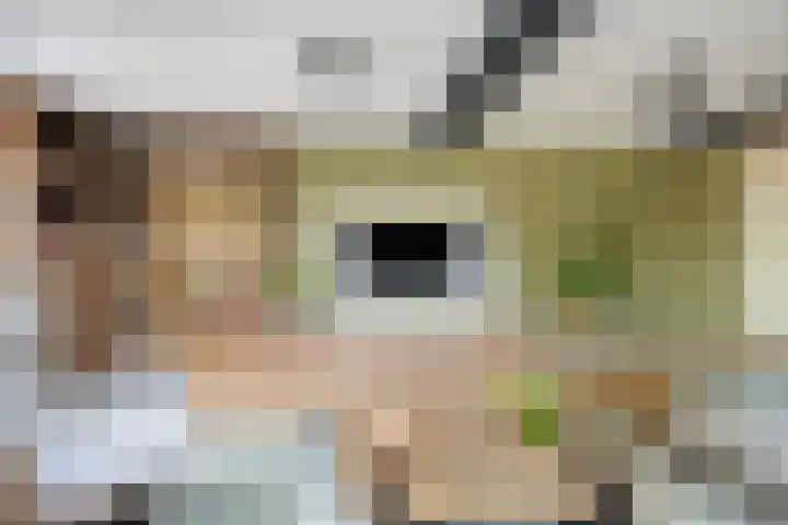 Smidsweg 14 Schalkhaar thumbnail 10