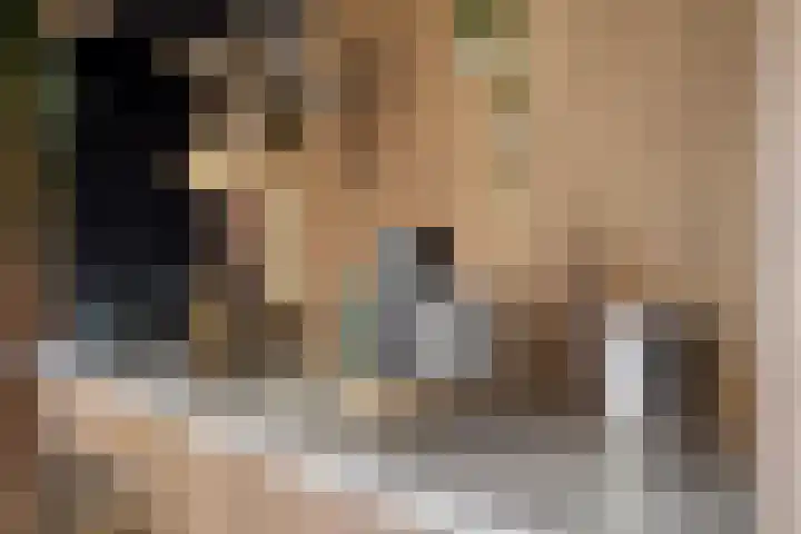Smidsweg 14 Schalkhaar thumbnail 13