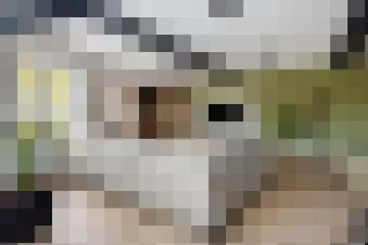 Smidsweg 14 Schalkhaar thumbnail 14