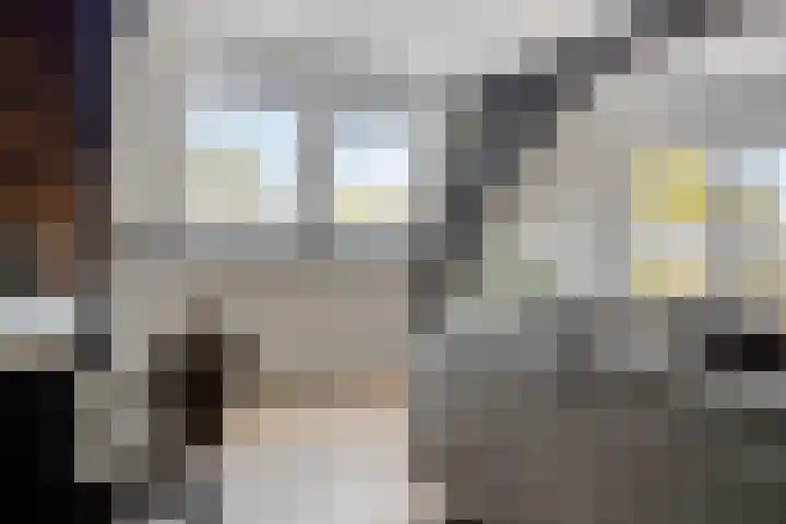 Smidsweg 14 Schalkhaar thumbnail 15