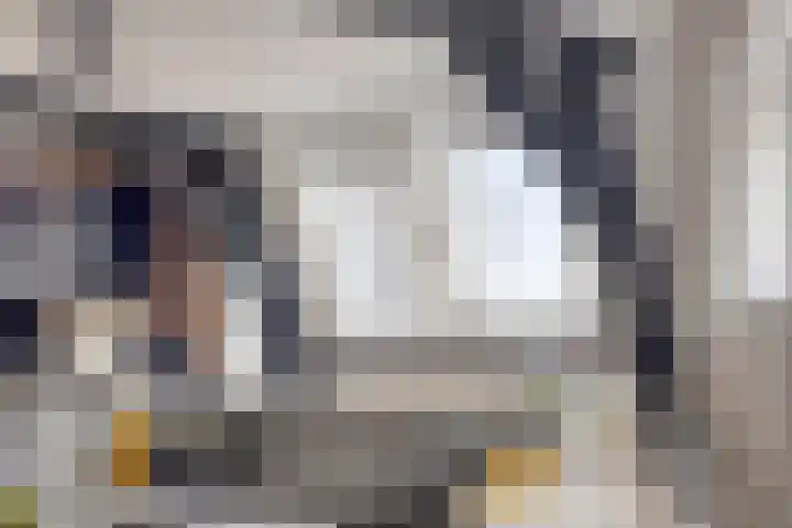 Smidsweg 14 Schalkhaar thumbnail 16
