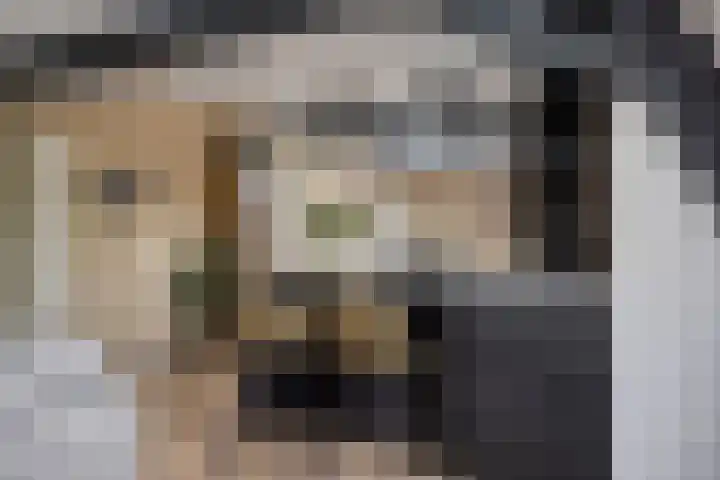 Smidsweg 14 Schalkhaar thumbnail 17