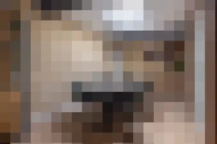Smidsweg 14 Schalkhaar thumbnail 21