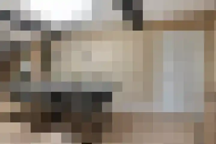 Smidsweg 14 Schalkhaar thumbnail 23