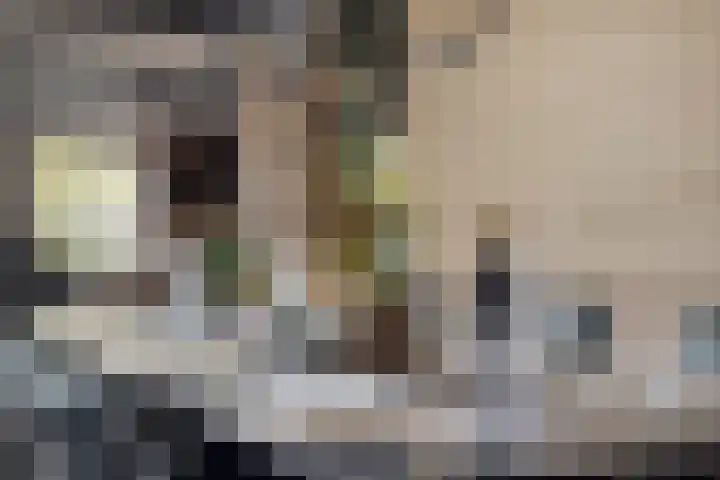 Smidsweg 14 Schalkhaar thumbnail 25