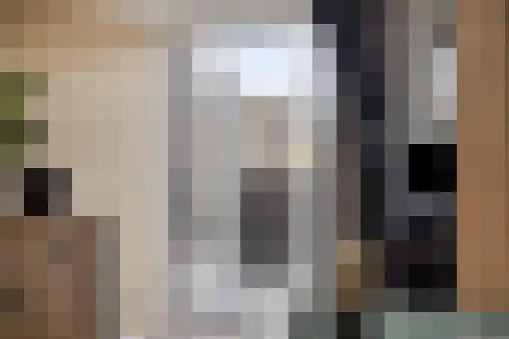 Smidsweg 14 Schalkhaar thumbnail 27