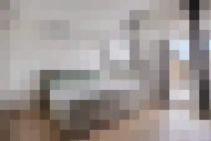 Smidsweg 14 Schalkhaar thumbnail 29