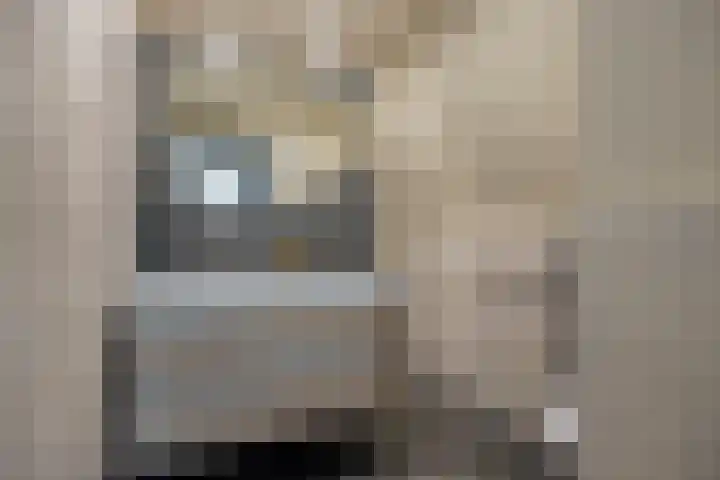 Smidsweg 14 Schalkhaar thumbnail 32