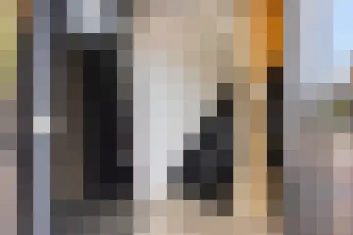 Smidsweg 14 Schalkhaar thumbnail 6