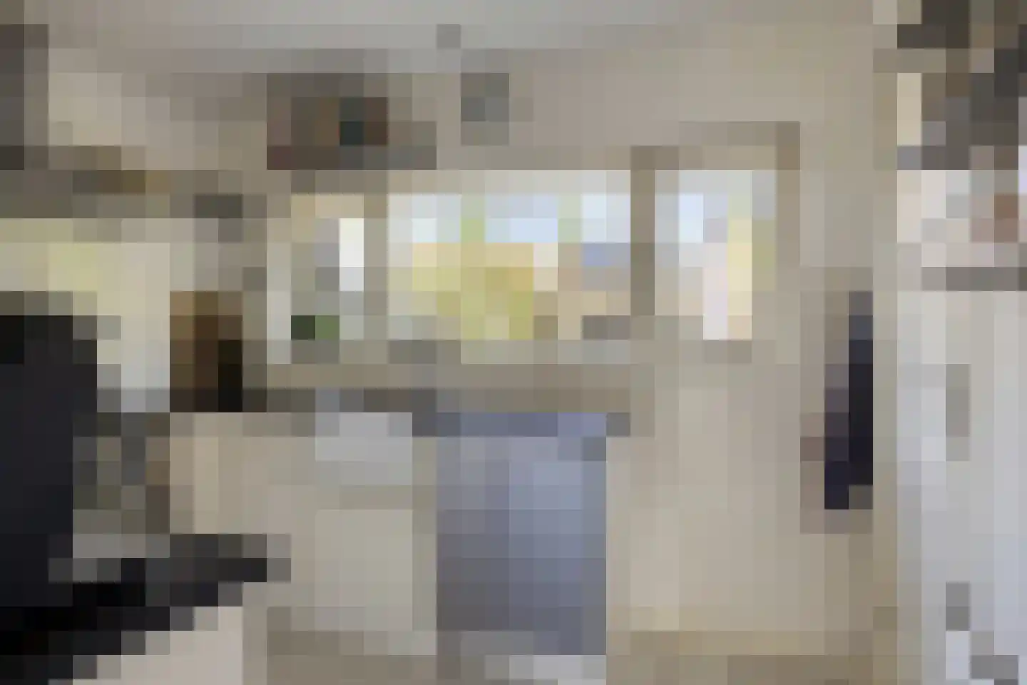 Smidsweg 19 Schalkhaar thumbnail 10