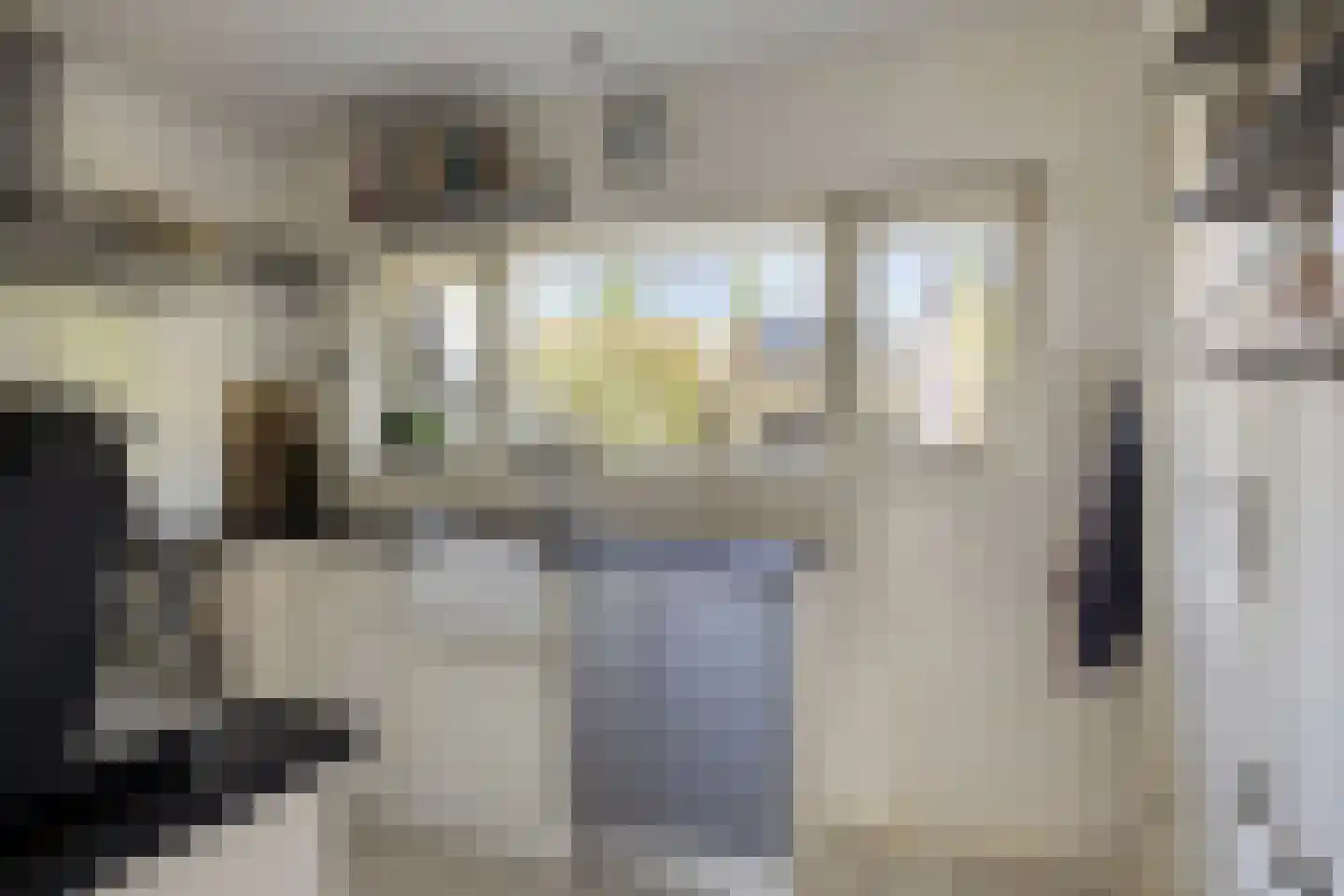 Smidsweg 19 Schalkhaar thumbnail 10