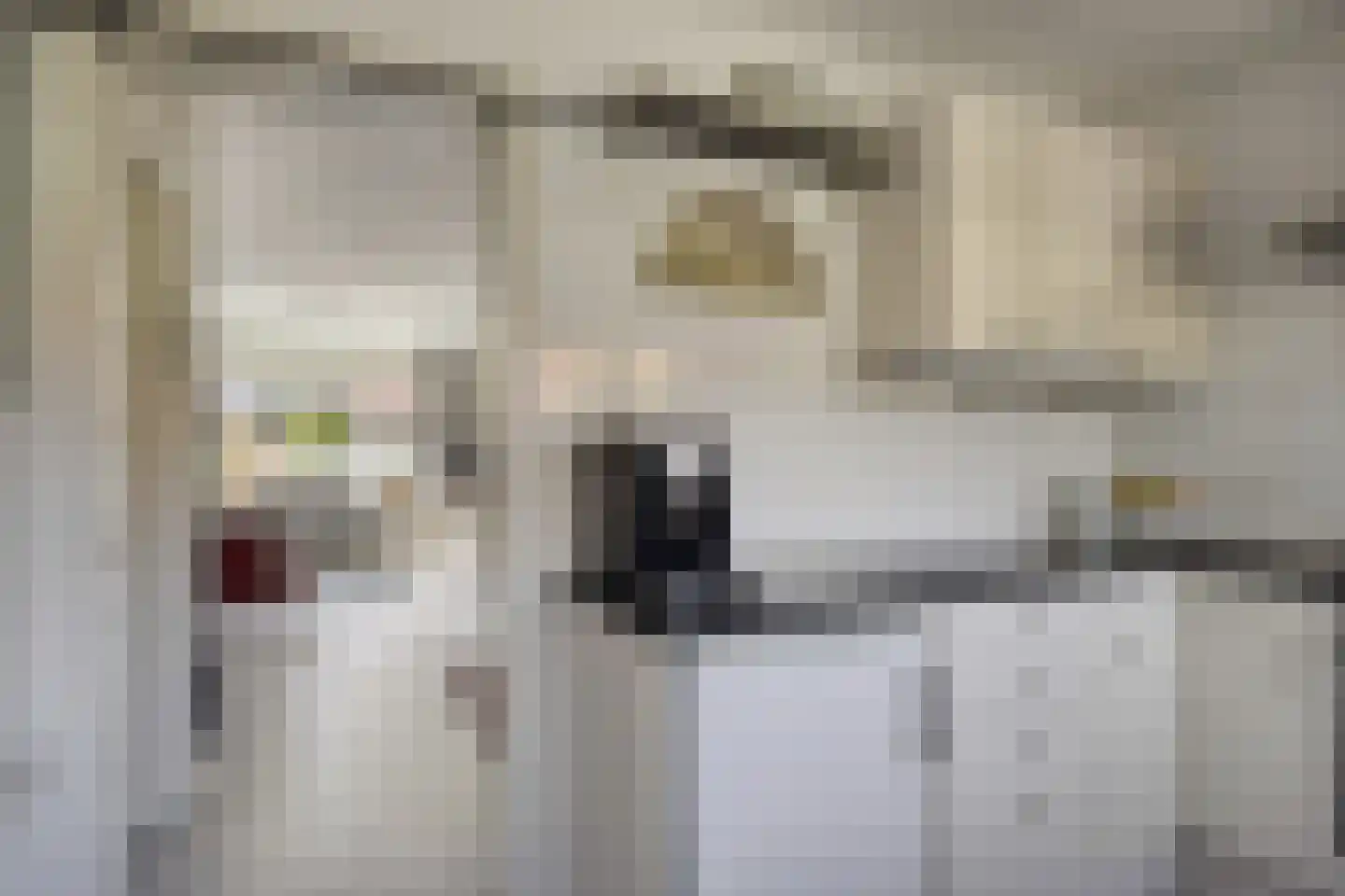 Smidsweg 19 Schalkhaar thumbnail 12