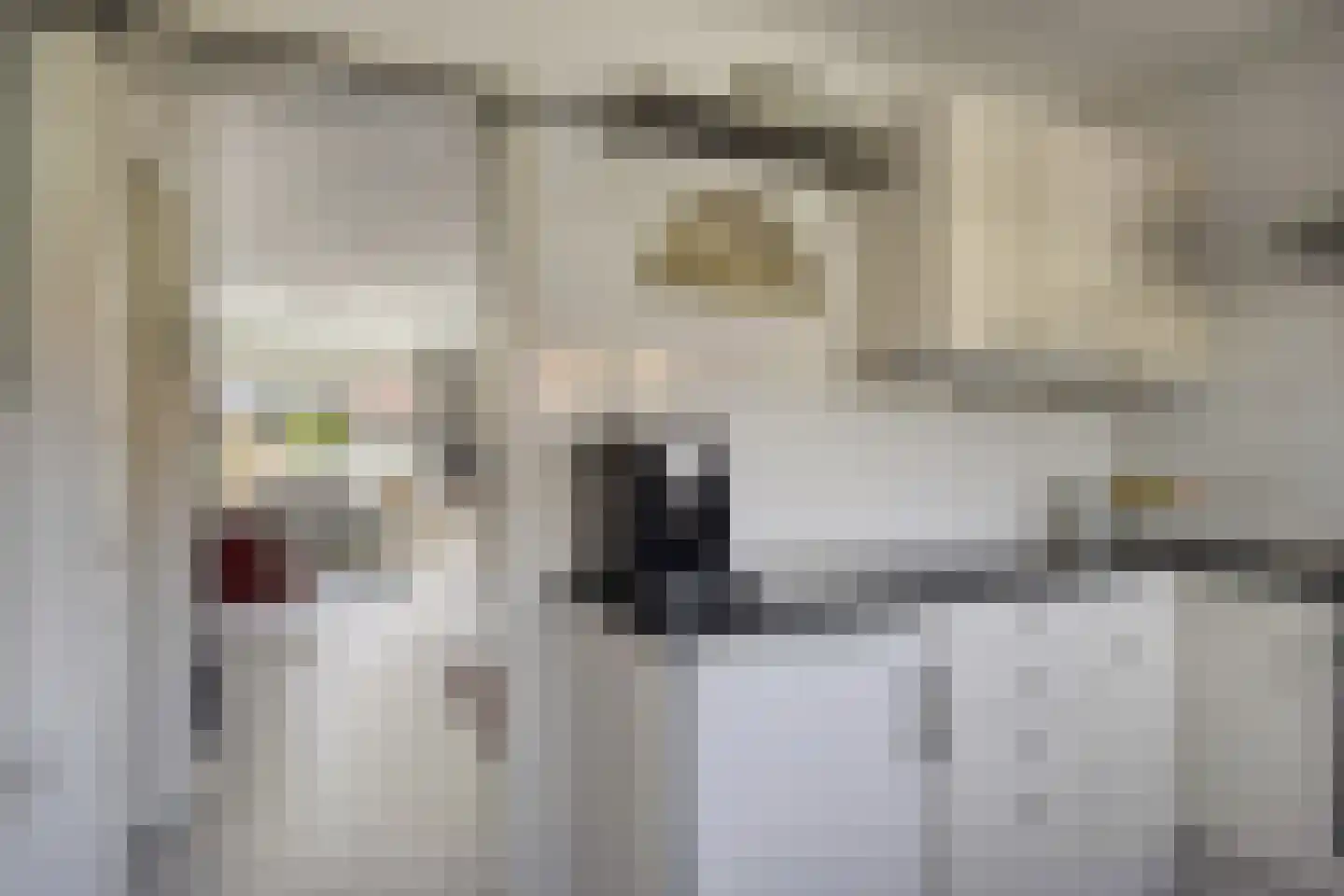 Smidsweg 19 Schalkhaar thumbnail 12