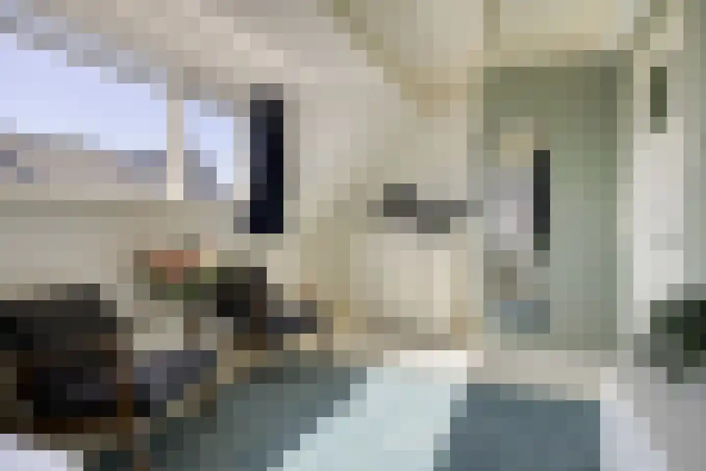 Smidsweg 19 Schalkhaar thumbnail 19