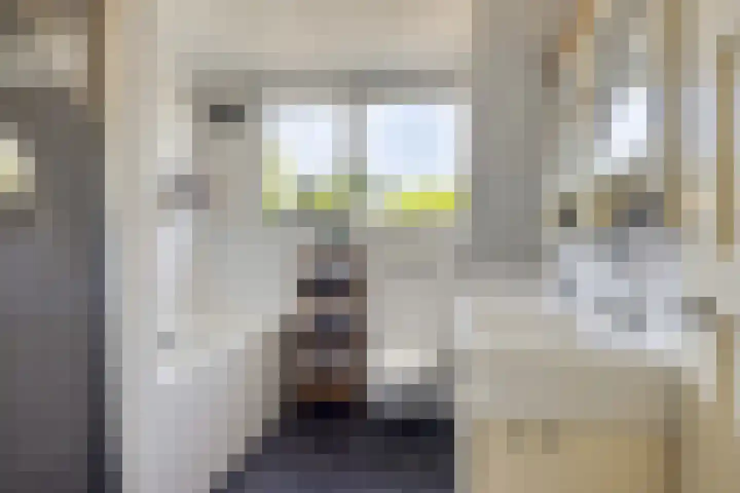 Smidsweg 19 Schalkhaar thumbnail 20