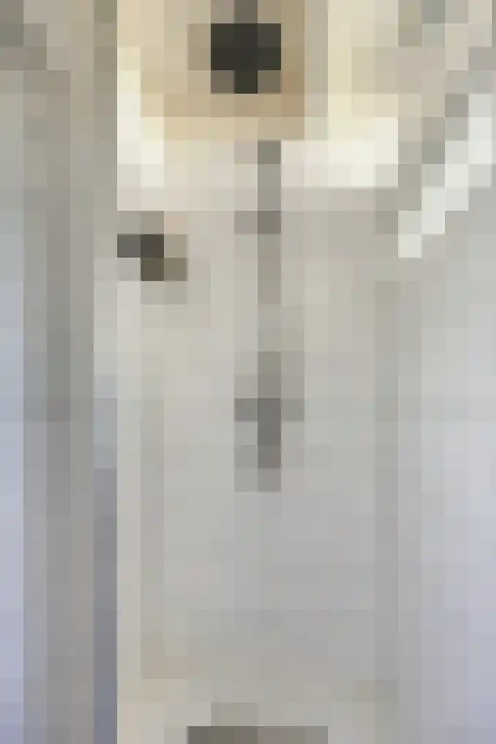 Smidsweg 19 Schalkhaar thumbnail 21