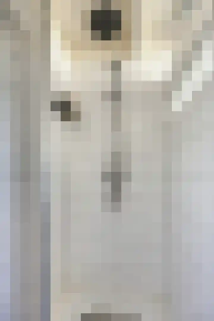 Smidsweg 19 Schalkhaar thumbnail 21