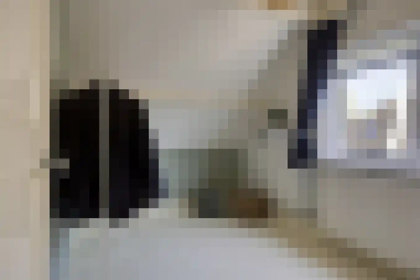 Smidsweg 19 Schalkhaar thumbnail 24
