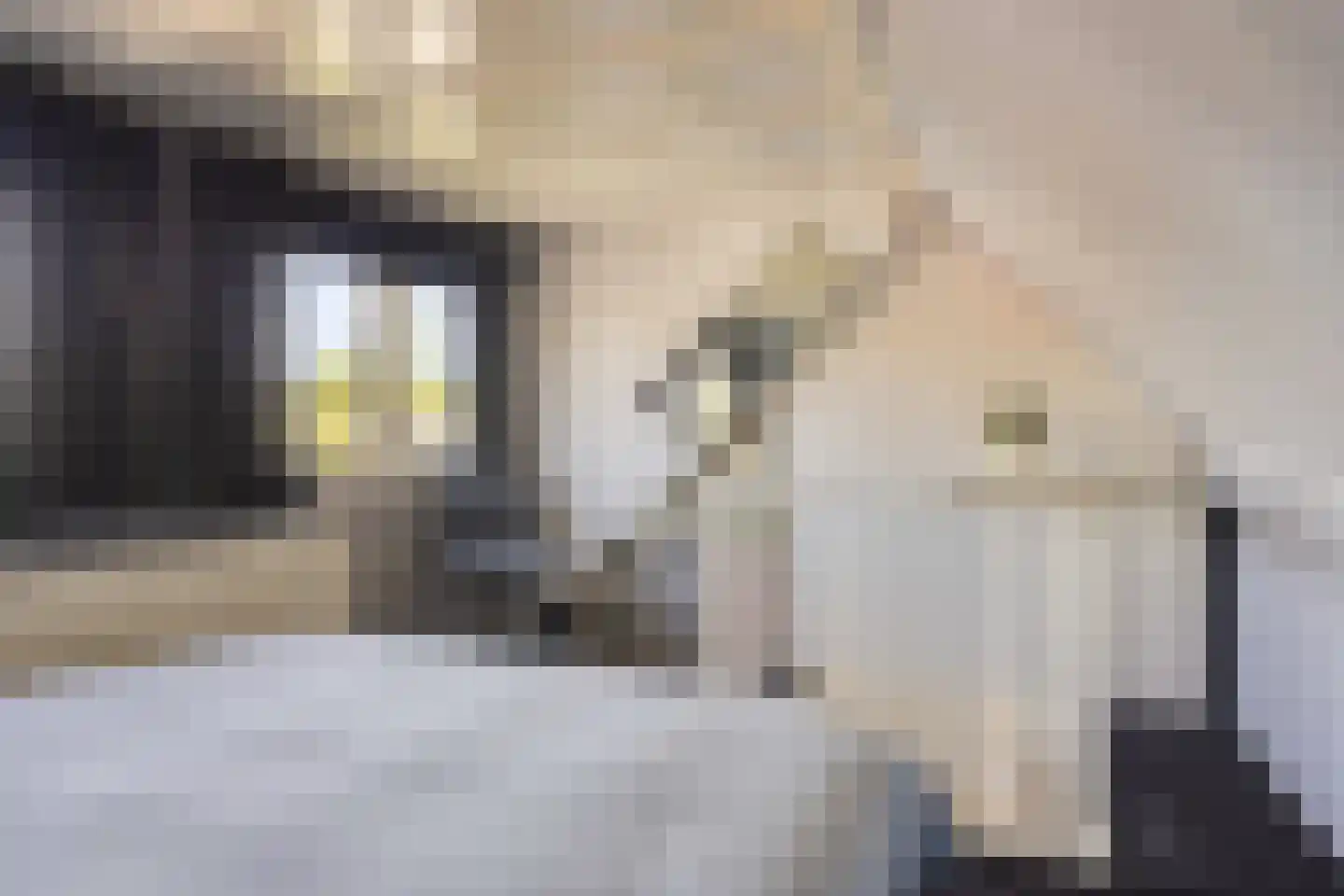 Smidsweg 19 Schalkhaar thumbnail 27