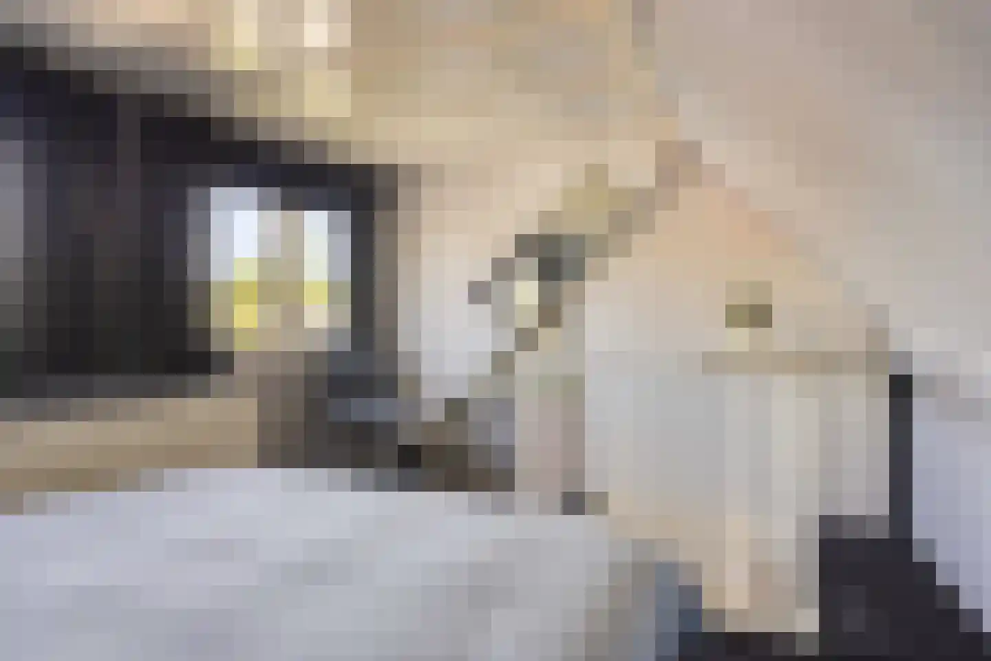 Smidsweg 19 Schalkhaar thumbnail 27