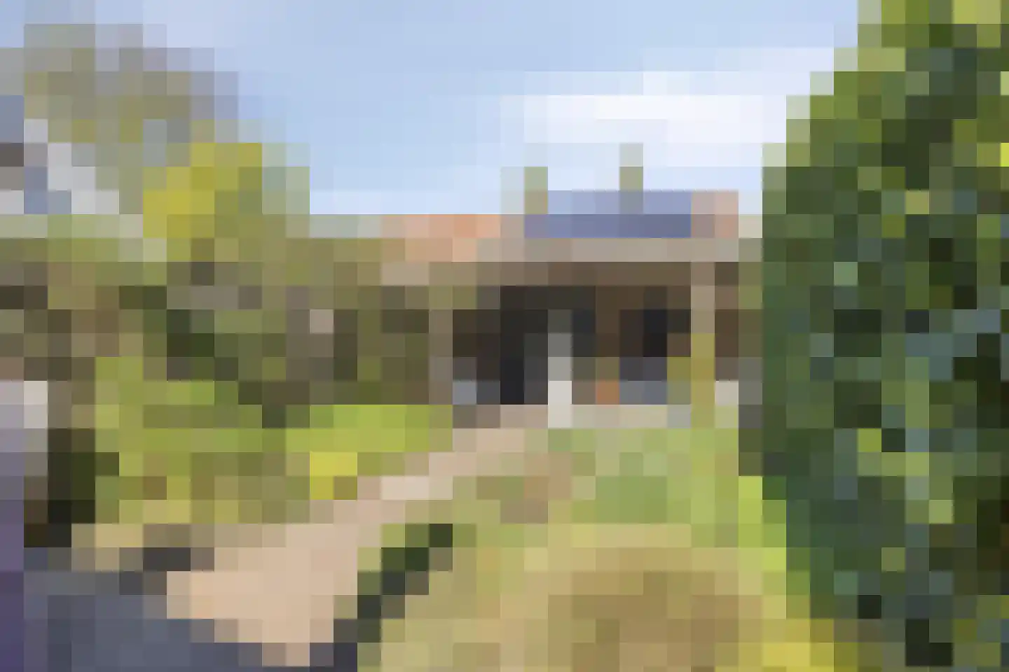 Smidsweg 19 Schalkhaar thumbnail 29