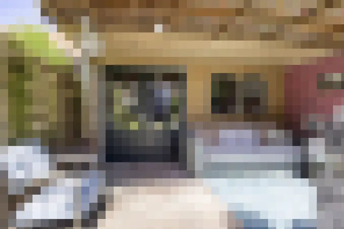 Smidsweg 19 Schalkhaar thumbnail 30