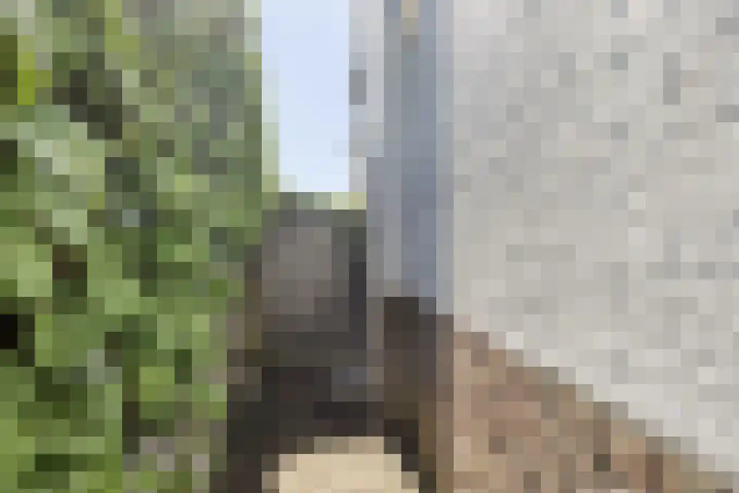 Smidsweg 19 Schalkhaar thumbnail 32
