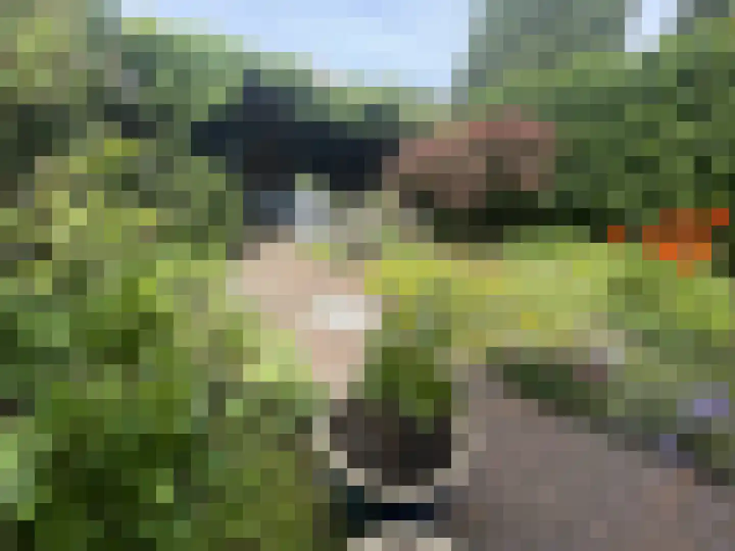 Smidsweg 19 Schalkhaar thumbnail 35