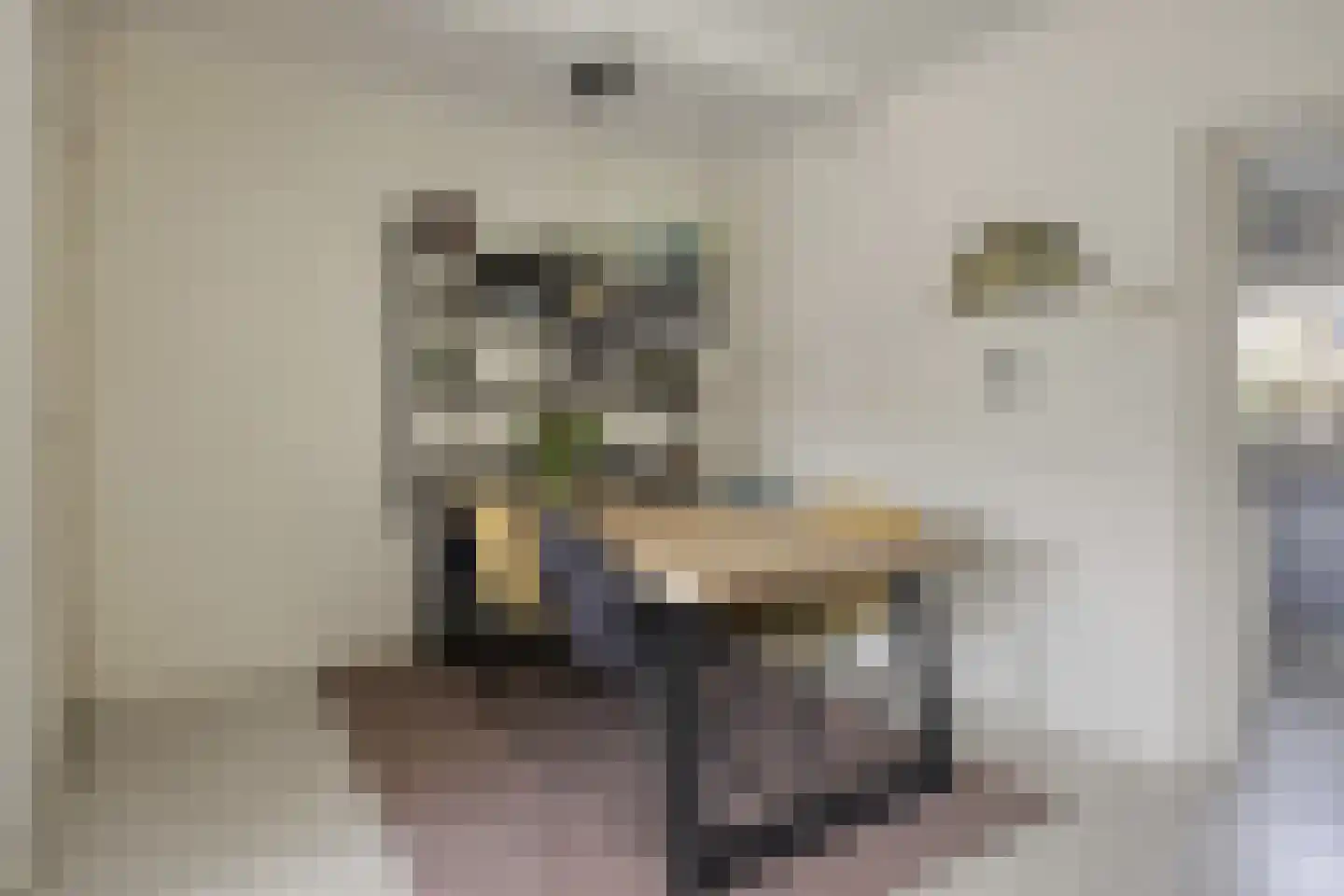 Smidsweg 19 Schalkhaar thumbnail 8