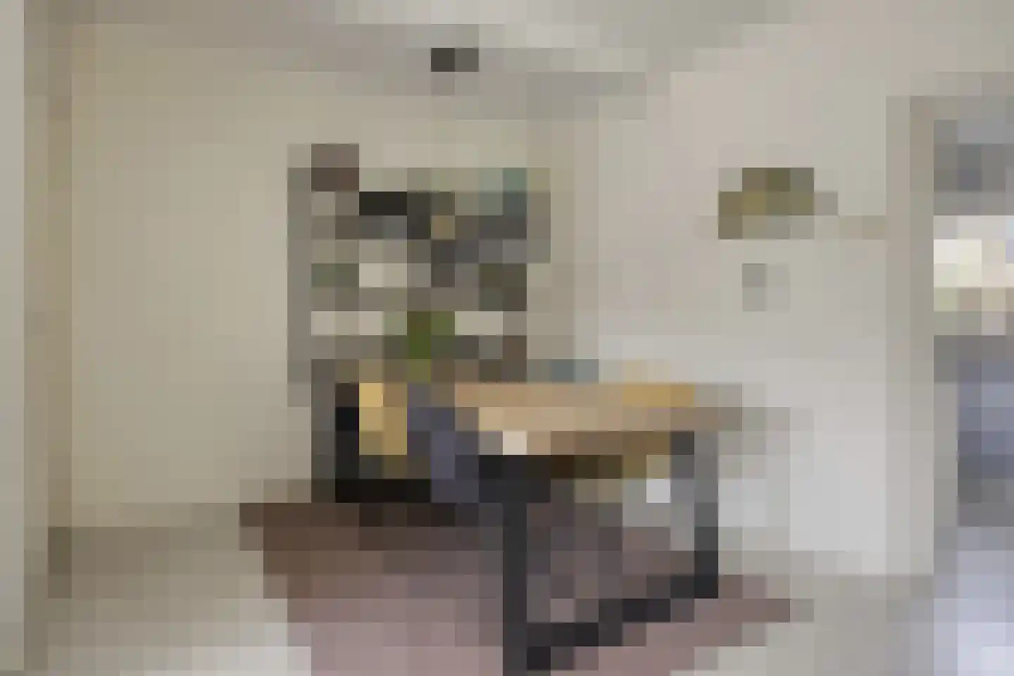 Smidsweg 19 Schalkhaar thumbnail 8